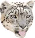 Sticker from Snep Lep Blep