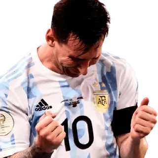 😁 emoji Lionel Messi Telegram sticker 24 of 103