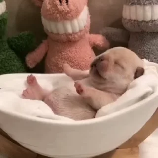 😴 emoji лапы Telegram sticker 15 of 49