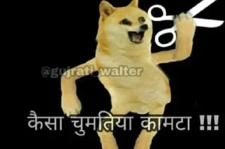 😂 emoji Tiger Op Telegram sticker 12 of 45