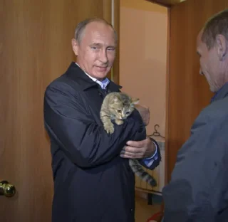 🐱 emoji Putin Reacts Telegram sticker 5 of 82