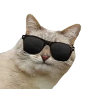 😎 emoji kot blini Telegram sticker 19 of 68