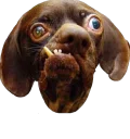 😻 emoji Loco Telegram sticker 11 of 101