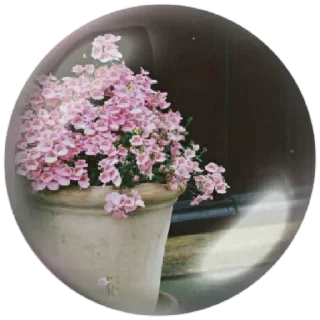 😊 emoji Jardim secreto Telegram sticker 24 of 49