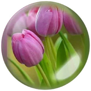 😊 emoji Jardim secreto Telegram sticker 22 of 49