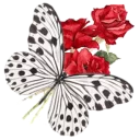 🐛 emoji ❀ Canal Jardim Secreto ❀ Telegram sticker 17 of 51