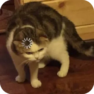🐱 emoji Stickers de kenneth Telegram sticker 5 of 60