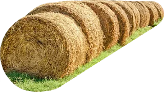 🌾 emoji Cultura Argentina Telegram sticker 21 of 28