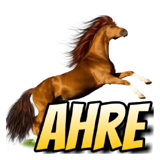 Sticker from Argentina