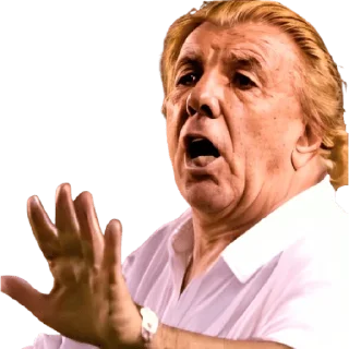🤚 emoji Mostaza Merlo Telegram sticker 9 of 16