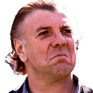 😎 emoji Mostaza Merlo Telegram sticker 7 of 16