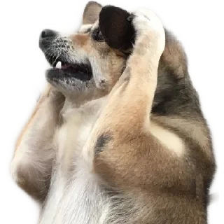 😱 emoji Mix Telegram sticker 15 of 77