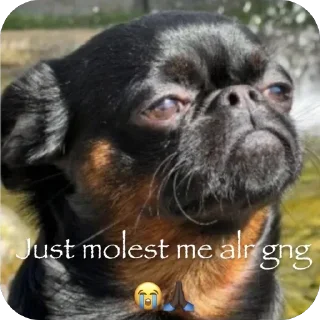 🫥 emoji Monke Man's Memes Telegram sticker 14 of 120