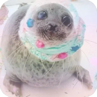 🫥 emoji moeseal Telegram sticker 6 of 26