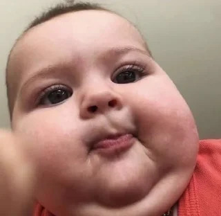 👶 emoji Chonky Bois Telegram sticker 23 of 37