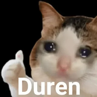 👍 emoji Paketón-Ton Telegram sticker 24 of 78