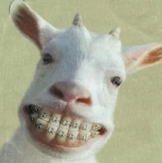 😬 emoji Sheep🐑 @yourstickerschnl Telegram sticker 19 of 57