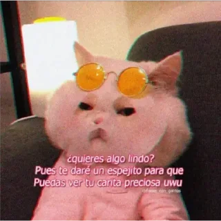 😫 emoji Gatos - Dani °>_<° Telegram sticker 24 of 31
