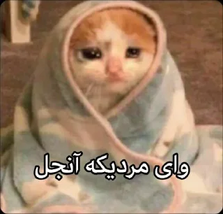 🥺 emoji dayan vibes only Telegram sticker 23 of 112