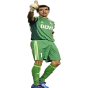☝ emoji River Plate Telegram sticker 17 of 36