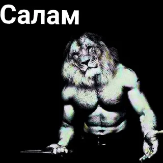 Sticker from ✵блатной лев✵ by @CIRK_VOROV
