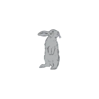🌟 emoji 𝗆𝖺𝗅𝖽𝗂𝗍𝖺  𝖺𝗅𝗆𝖺.  @cruciocurses Telegram sticker 1 of 19