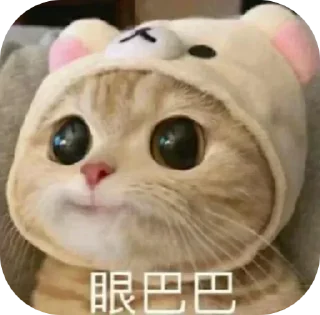 🥹 emoji @LUZIYE 俱乐部 Telegram sticker 5 of 20