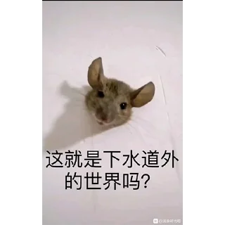 🐭 emoji 冲浪TV1️⃣ Telegram sticker 15 of 120