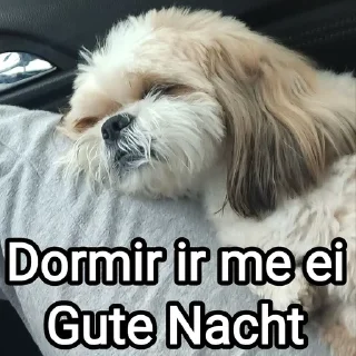 🐶 emoji Mensagens Fofas 4 Telegram sticker 6 of 120