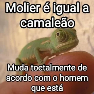 🦎 emoji Mensagens Fofas X Telegram sticker 9 of 120
