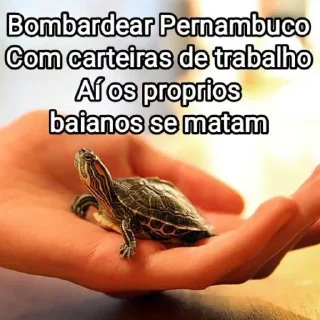 🐢 emoji Mensagens Fofas 2 Telegram sticker 17 of 120
