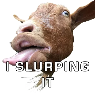 🐐 emoji $2DMOON APOLLO 18 TOKEN Telegram sticker 8 of 33