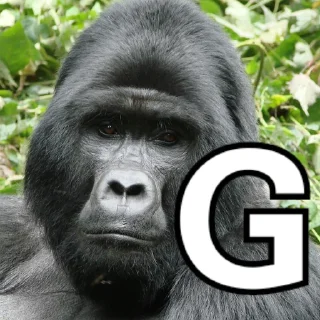🦍 emoji NEVER RELAX Telegram sticker 10 of 20