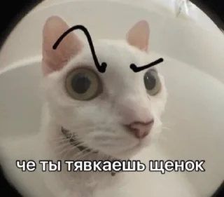 🤨 emoji путаны соло Telegram sticker 16 of 70