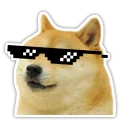 😎 emoji Doge Telegram sticker 12 of 16