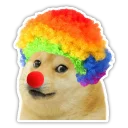 🎪 emoji Doge Telegram sticker 16 of 16