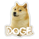Sticker from Doge