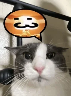 💥 emoji Kitty emotes Telegram sticker 5 of 19