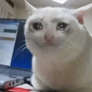 😢 emoji 🙂 Telegram sticker 11 of 74