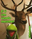 🦌 emoji Kermit, the frog 7 🐸 Telegram sticker 6 of 120