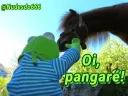 🐴 emoji Kermit, the frog 6 🐸 Telegram sticker 20 of 120