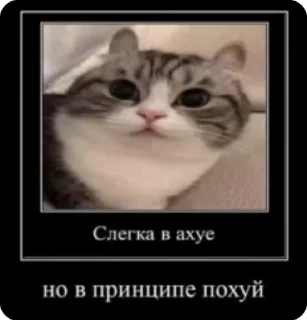 😲 emoji Рандомщина Telegram sticker 20 of 60