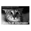 Sticker from Meus