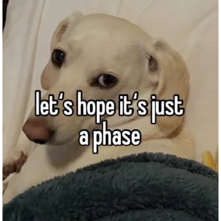 Sticker from animal captions