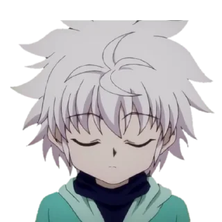 😶 emoji @stikersw_w hunter x hunter Telegram sticker 19 of 107