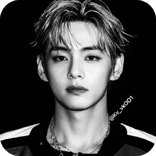 🫥 emoji FIFA 2026 JK/TAE DARK >> @Kv_vkOO1 Telegram sticker 17 of 39