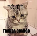😢 emoji Animais Safados Telegram sticker 9 of 87