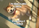 😛 emoji Animais Safados Telegram sticker 14 of 87