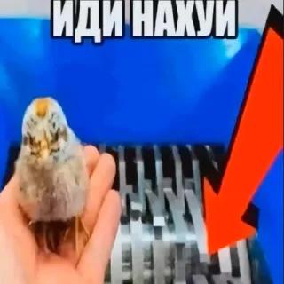 🐤 emoji ништяк))) Telegram sticker 22 of 117
