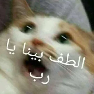 😿 emoji @arb28p Telegram sticker 16 of 93